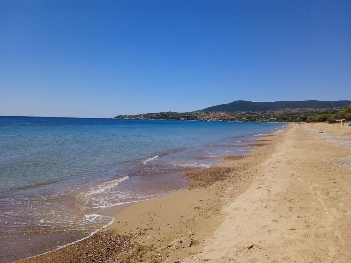 Koroni Stone House, Newly Built Studios By The Sea Exteriör bild